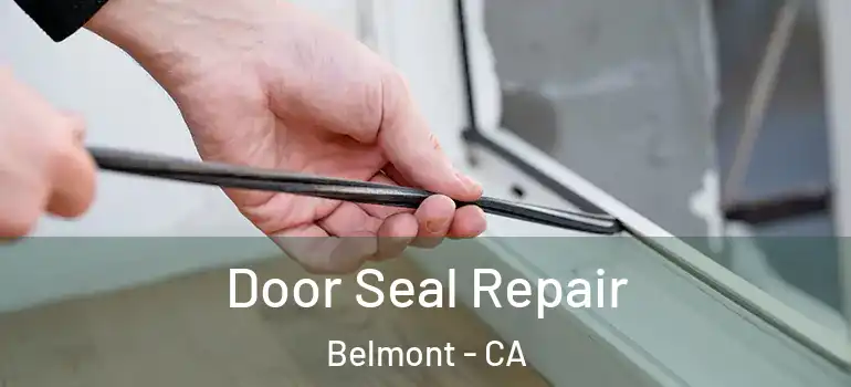  Door Seal Repair Belmont - CA