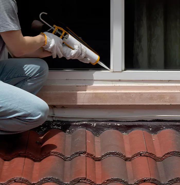 Roof Window Services in Belmont, California