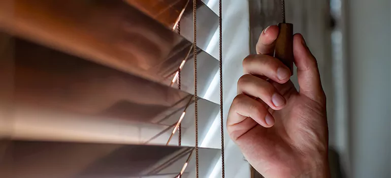 Double Roller Blinds in Belmont, CA