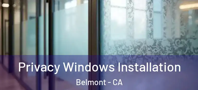  Privacy Windows Installation Belmont - CA