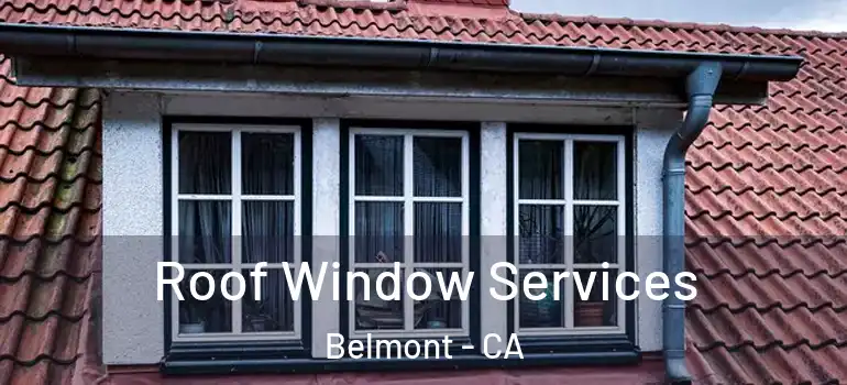  Roof Window Services Belmont - CA