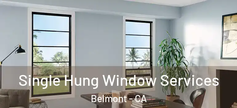  Single Hung Window Services Belmont - CA