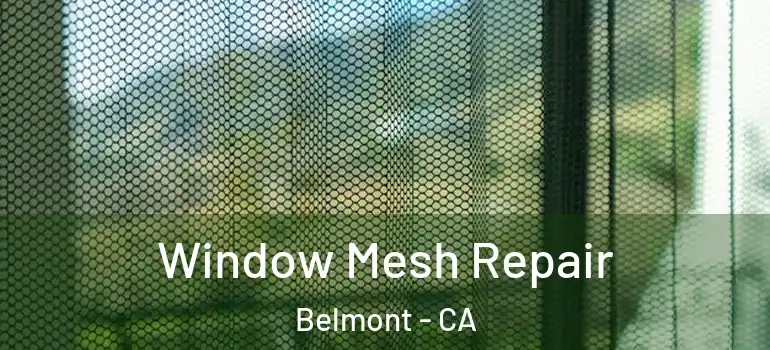  Window Mesh Repair Belmont - CA