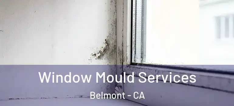  Window Mould Services Belmont - CA